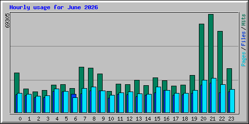 Hourly usage for June 2026