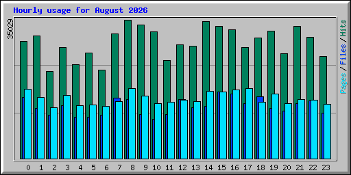 Hourly usage for August 2026