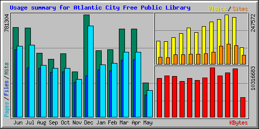 Usage summary for Atlantic City Free Public Library