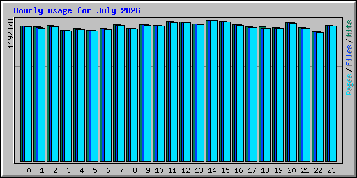 Hourly usage for July 2026